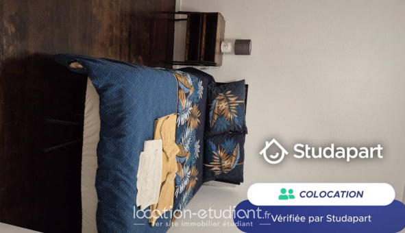 Colocation �tudiante Studio &agrave; Sceaux (92330)