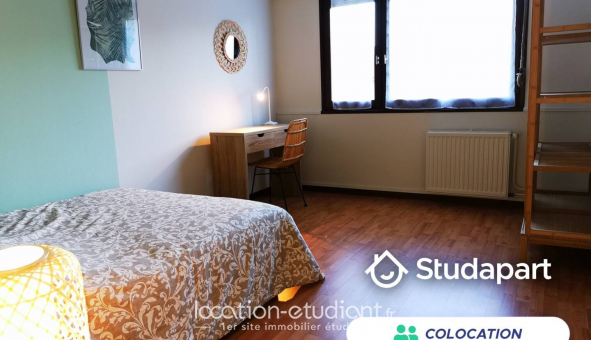 Colocation tudiante Studio à Schiltigheim (67300)