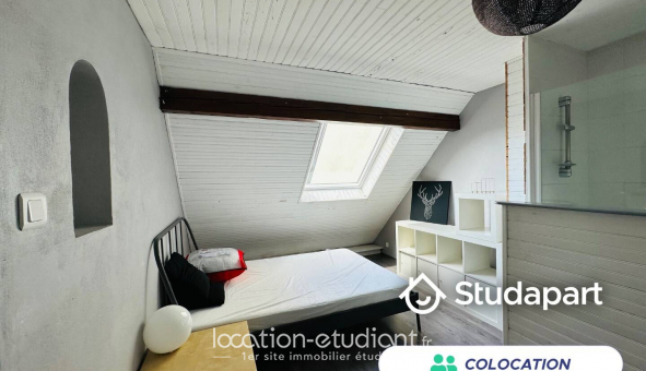 Colocation étudiante Studio à Schiltigheim (67300)