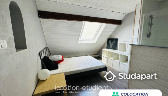 Colocation étudiante Studio à Schiltigheim (67300)