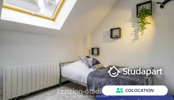 Colocation tudiante Studio à Schiltigheim (67300)