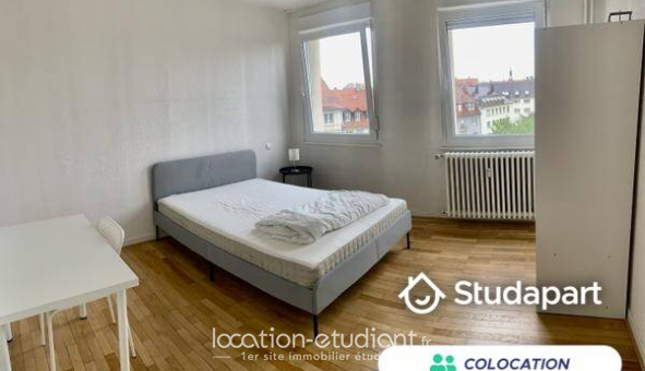 Colocation tudiante Studio à Strasbourg (67000)