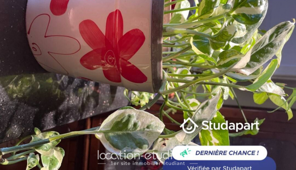 Colocation tudiante Studio à Strasbourg (67000)