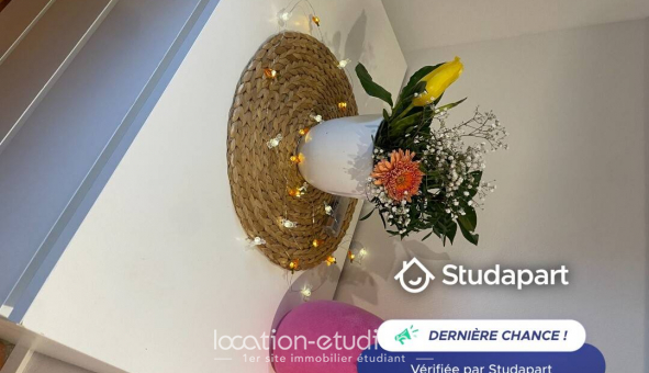 Colocation tudiante Studio à Strasbourg (67000)