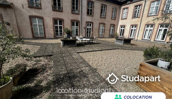 Colocation �tudiante Studio &agrave; Strasbourg (67000)