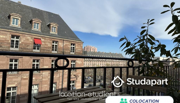 Colocation �tudiante Studio &agrave; Strasbourg (67000)