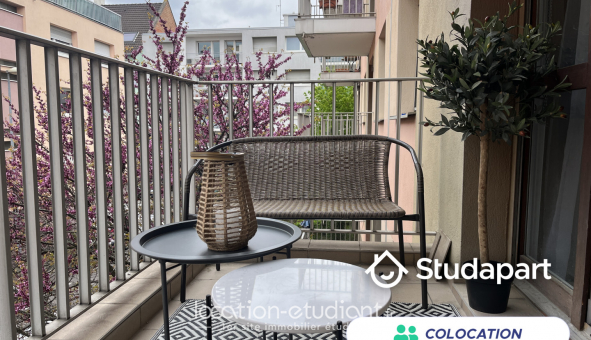 Colocation tudiante T4 à Strasbourg (67000)