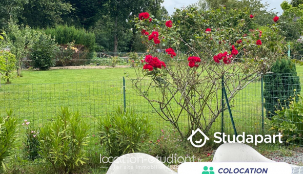 Colocation tudiante Studio à Surzur (56450)