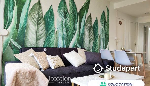 Colocation �tudiante Studio &agrave; Toulouse (31500)