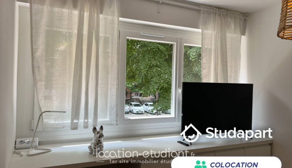 Colocation tudiante Studio à Toulouse (31500)