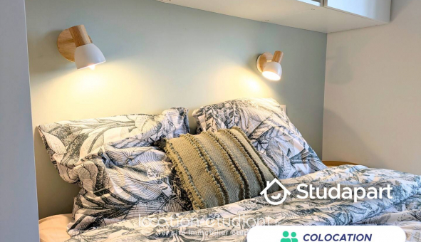 Colocation tudiante Studio à Toulouse (31500)