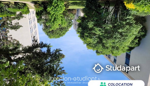 Colocation tudiante Studio à Toulouse (31500)