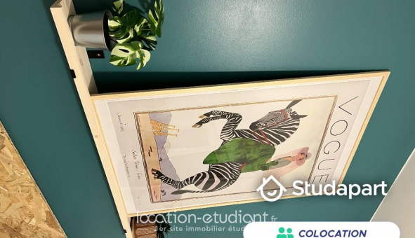 Colocation �tudiante Studio &agrave; Toulouse (31500)