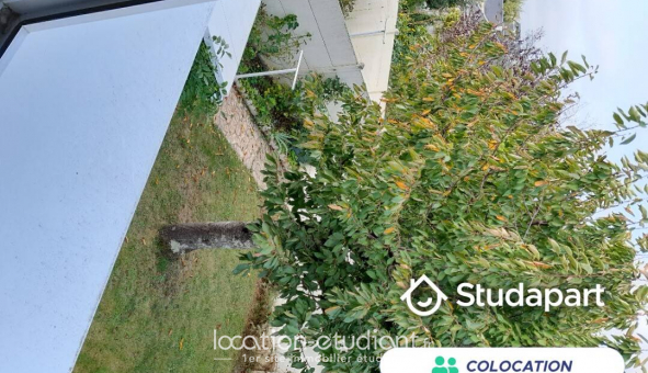 Colocation �tudiante Studio &agrave; Tours (37000)