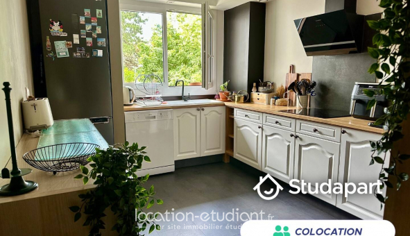 Colocation tudiante Studio à Tours (37000)