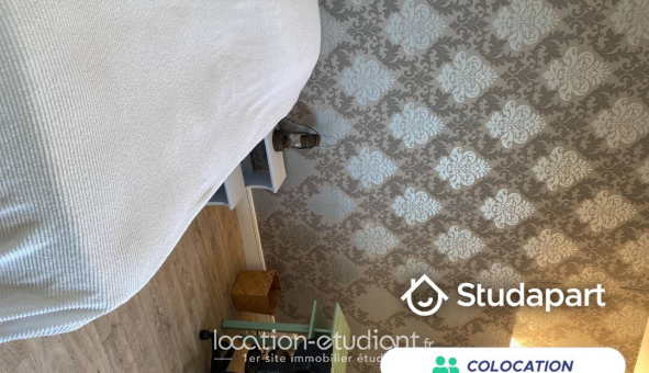 Colocation �tudiante Studio &agrave; Tours (37000)