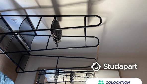 Colocation tudiante Duplex à Valenciennes (59300)
