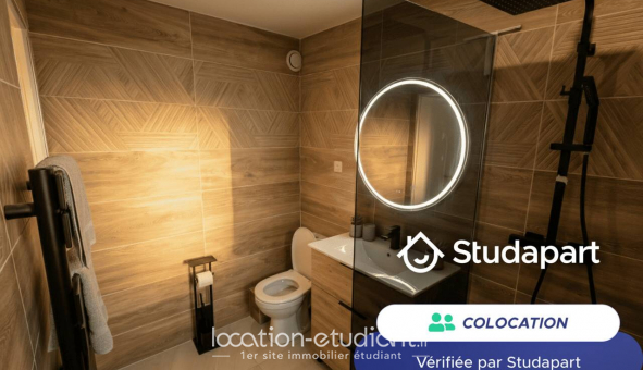 Colocation �tudiante Studio &agrave; V�nissieux (69200)