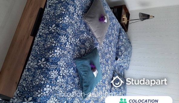 Colocation �tudiante Studio &agrave; Ville la Grand (74100)
