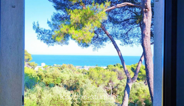 Colocation tudiante Studio à Villeneuve Loubet (06270)