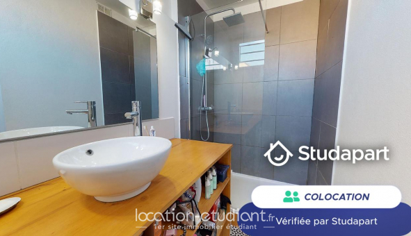 Colocation tudiante Studio à Villeurbanne (69100)