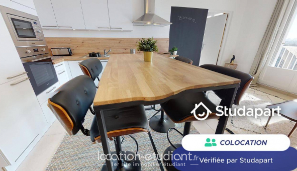 Colocation tudiante Studio à Villeurbanne (69100)