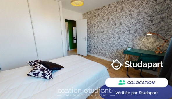 Colocation tudiante Studio à Villeurbanne (69100)