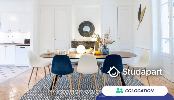 Colocation tudiante Studio à Villeurbanne (69100)