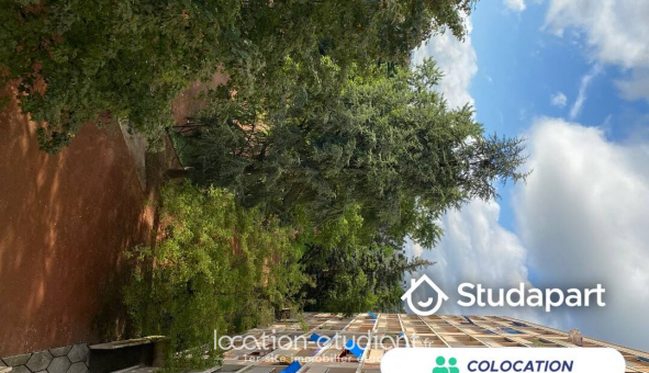 Colocation tudiante Studio à Villeurbanne (69100)