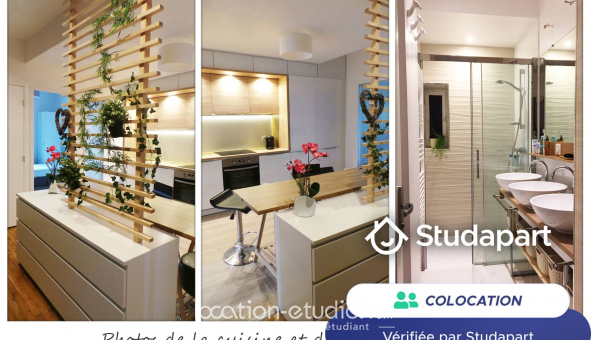 Colocation tudiante Studio à Villeurbanne (69100)