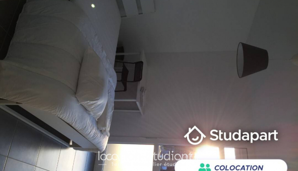 Colocation �tudiante Studio &agrave; Villeurbanne (69100)