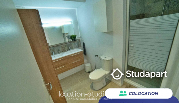 Colocation �tudiante Studio &agrave; Villeurbanne (69100)