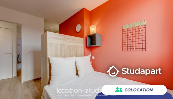 Colocation �tudiante T4 &agrave; Villeurbanne (69100)