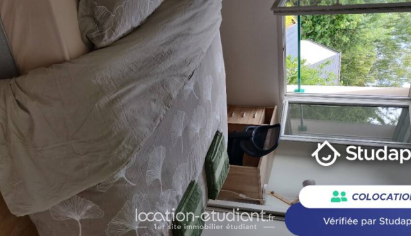 Colocation étudiante Studio &agrave; Angers (49000)