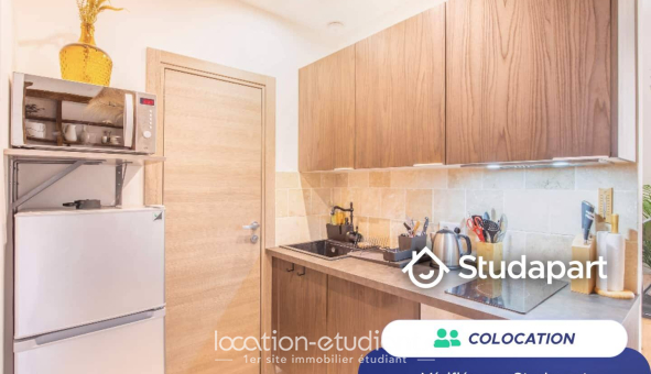 Colocation étudiante Studio &agrave; Antibes (06160)