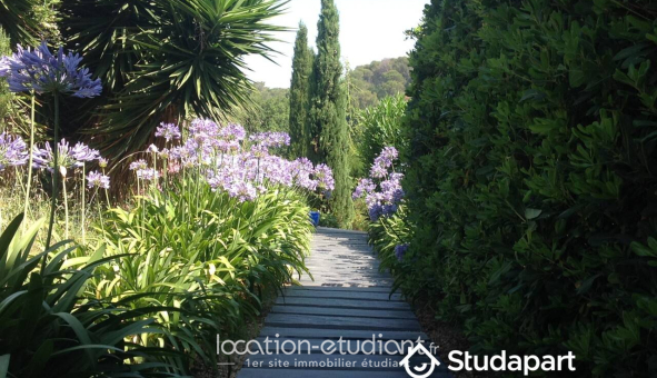 Colocation étudiante Studio &agrave; Antibes (06160)