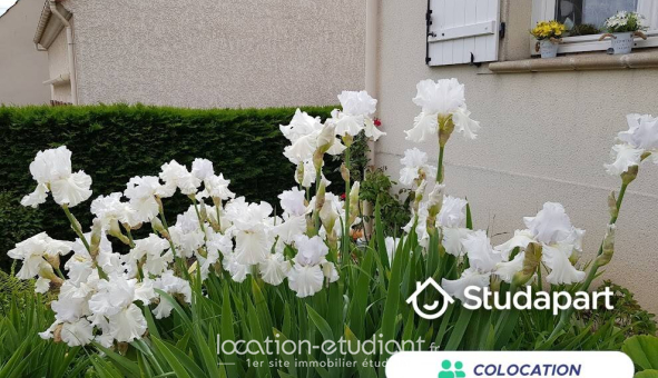 Colocation étudiante Duplex &agrave; Argenteuil (95100)
