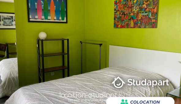 Colocation étudiante 0