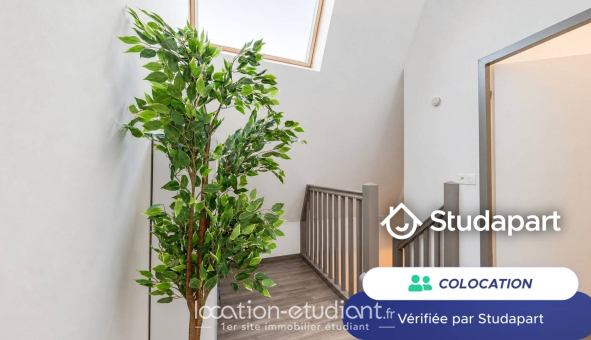 Colocation étudiante Studio &agrave; Bordeaux (33300)