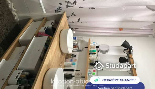Colocation étudiante Studio &agrave; Bordeaux (33300)