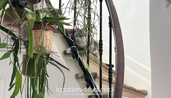 Colocation étudiante Studio &agrave; Bordeaux (33300)