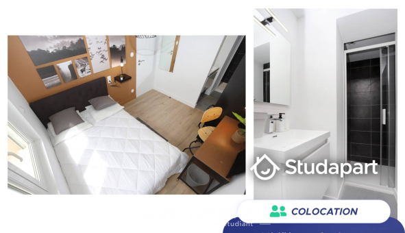 Colocation étudiante Duplex &agrave; Brest (29200)