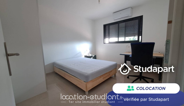 Colocation étudiante 0