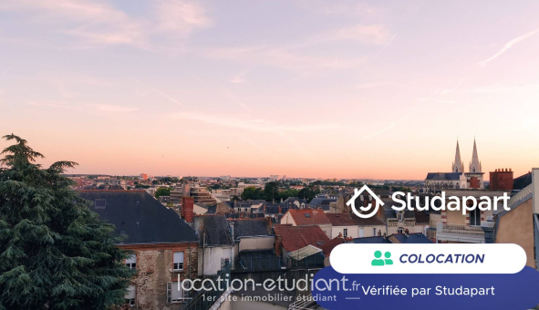 Colocation étudiante T5 &agrave; Cholet (49280)