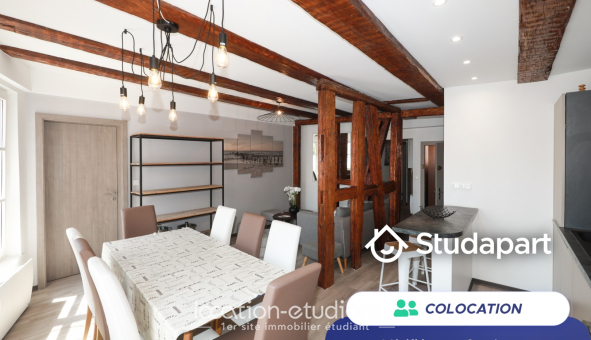 Colocation étudiante Studio &agrave; Colmar (68000)