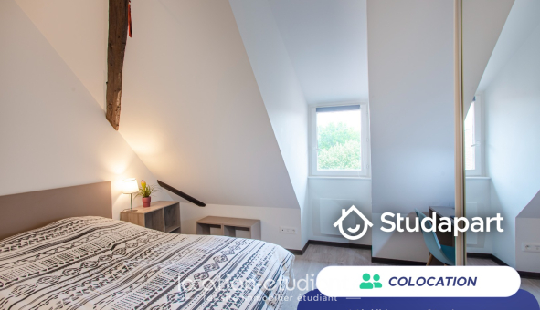 Colocation étudiante Studio &agrave; Colmar (68000)
