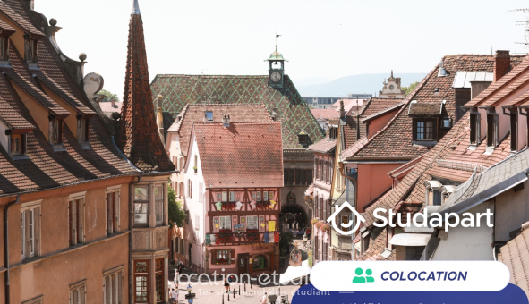 Colocation étudiante Studio &agrave; Colmar (68000)