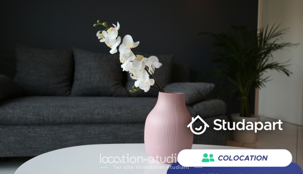 Colocation étudiante Duplex &agrave; Courcouronnes (91080)