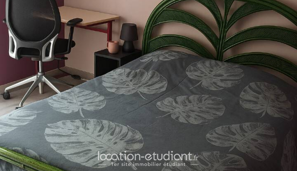 Colocation étudiante Studio &agrave; Denée (49190)