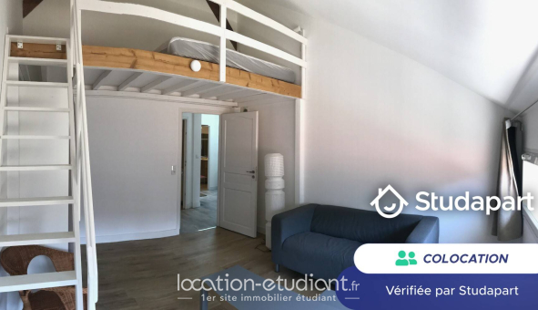 Colocation étudiante 0